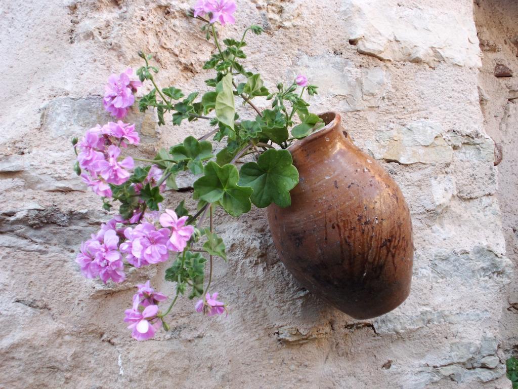 Alojamiento Rural Tres Palacios مولينا دي أراغون المظهر الخارجي الصورة